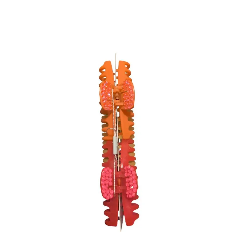 Barot Lynn Large Hair Clips Lot of 3 Neon Pink Yellow Orange NWT